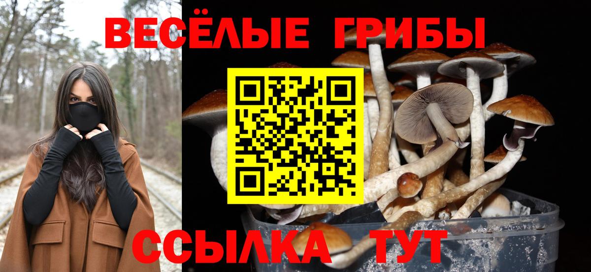 Галлюциногенные грибы Magic Shrooms  Псилоцибиновые грибы прущие грибы  Великий Новгород  Вход с VPN 